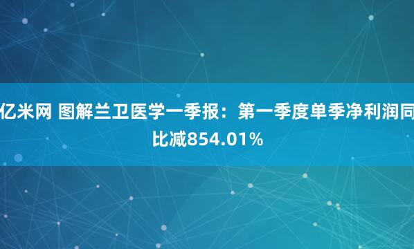 亿米网 图解兰卫医学一季报：第一季度单季净利润同比减854.01%